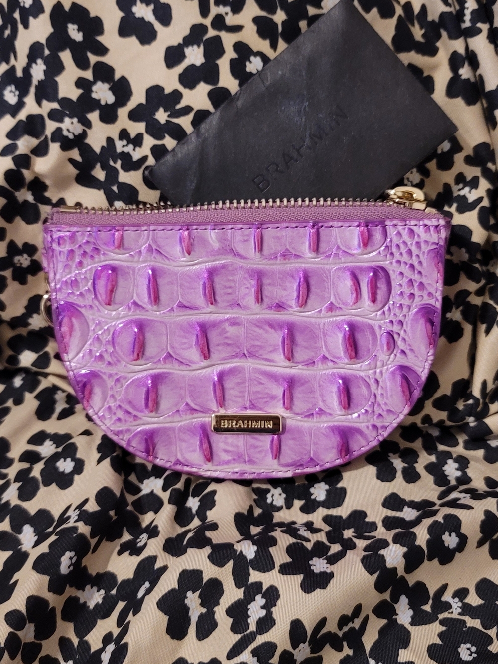 Brahmin Britt